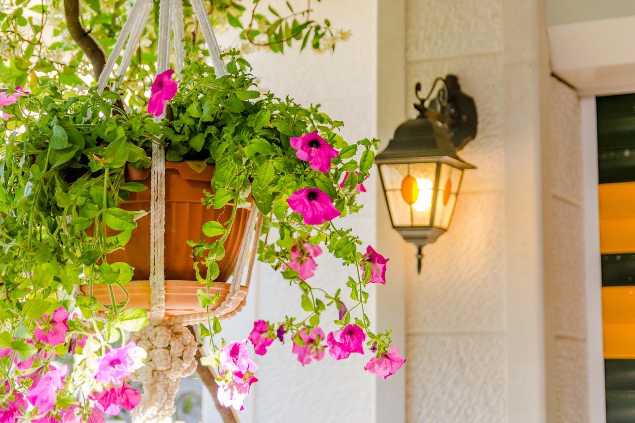 סופטאר Apartments Villa Camellia - Adults Only מראה חיצוני תמונה