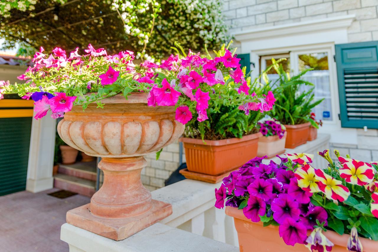 סופטאר Apartments Villa Camellia - Adults Only מראה חיצוני תמונה