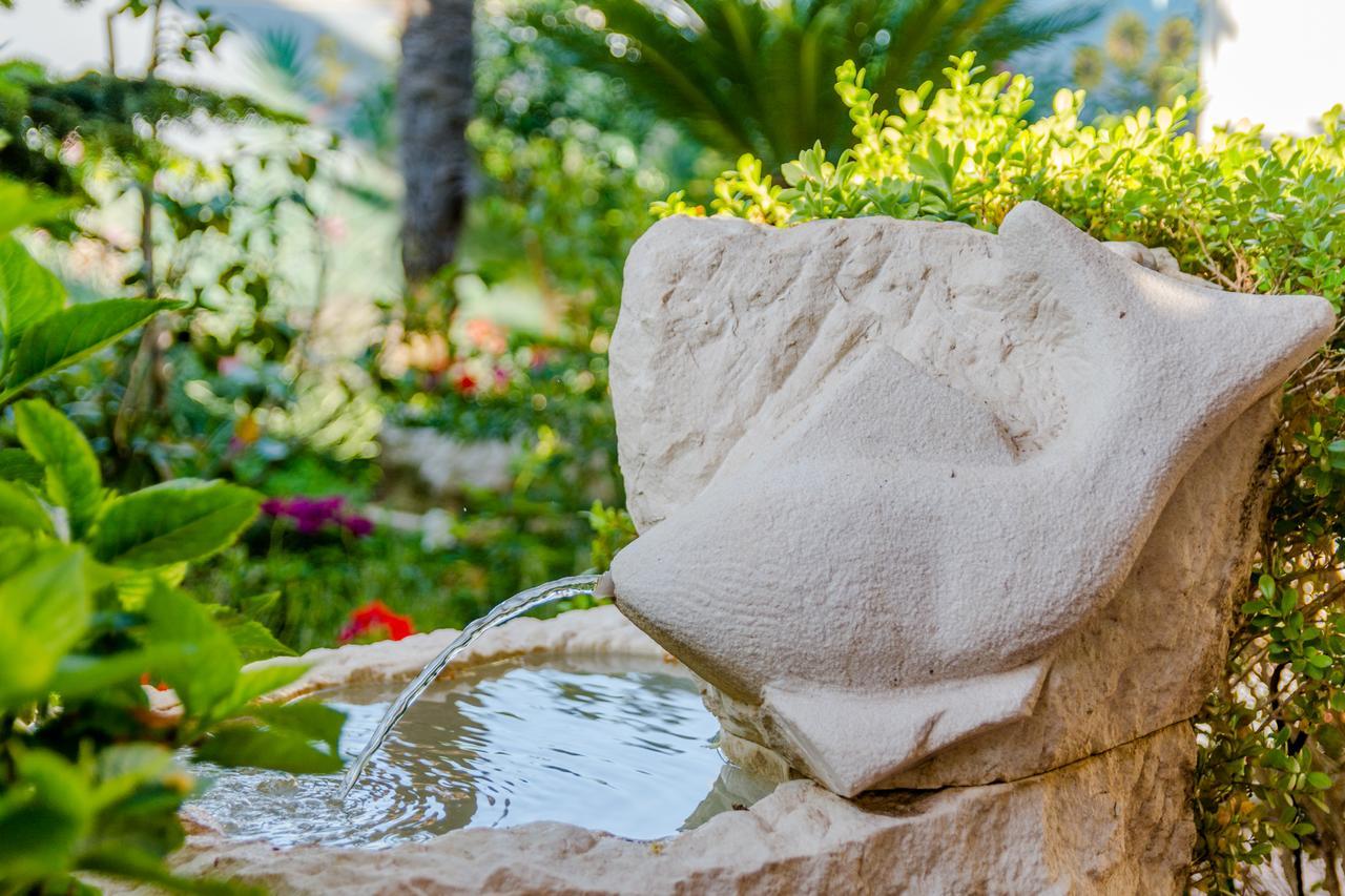 סופטאר Apartments Villa Camellia - Adults Only מראה חיצוני תמונה