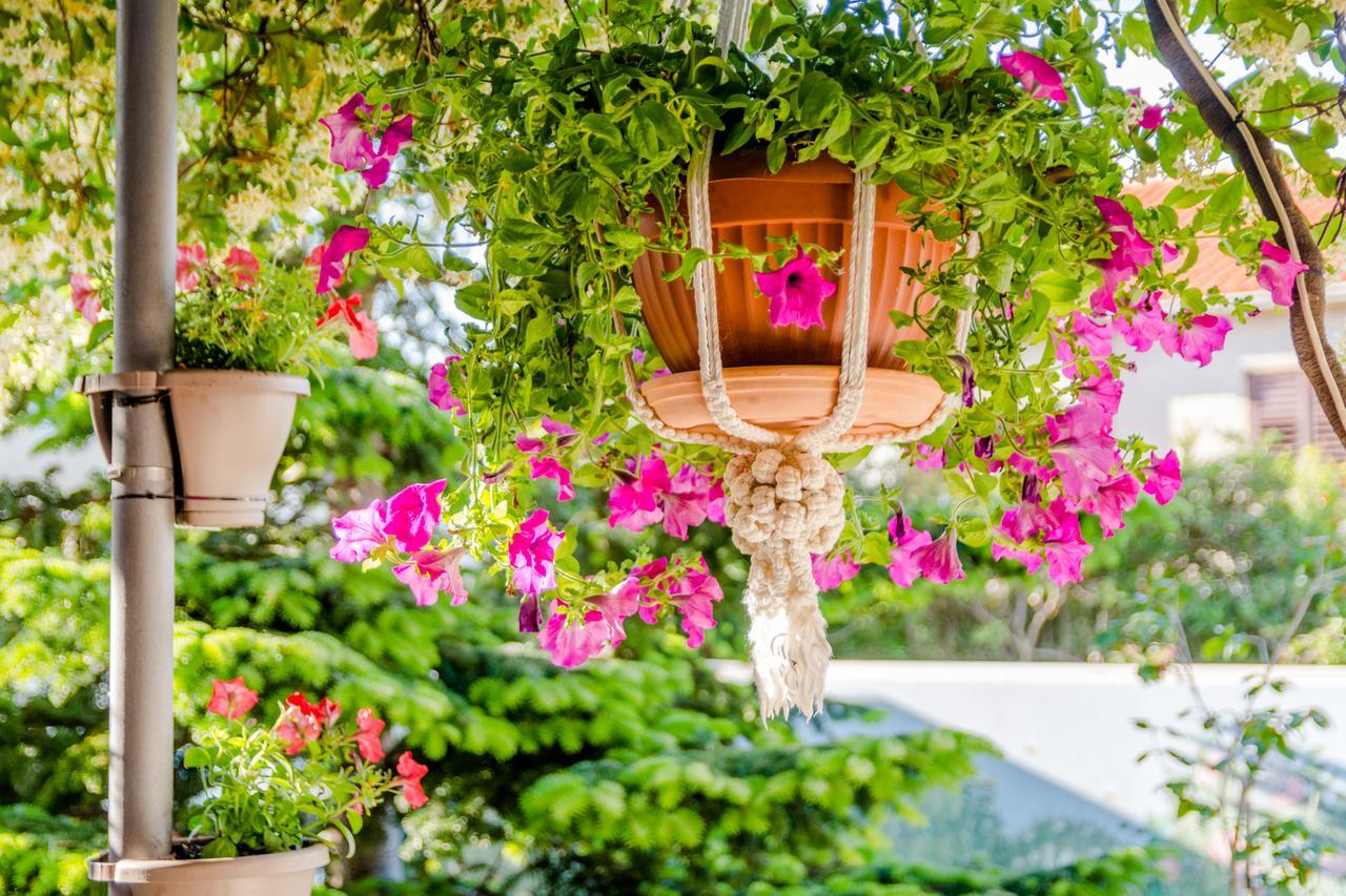 סופטאר Apartments Villa Camellia - Adults Only מראה חיצוני תמונה