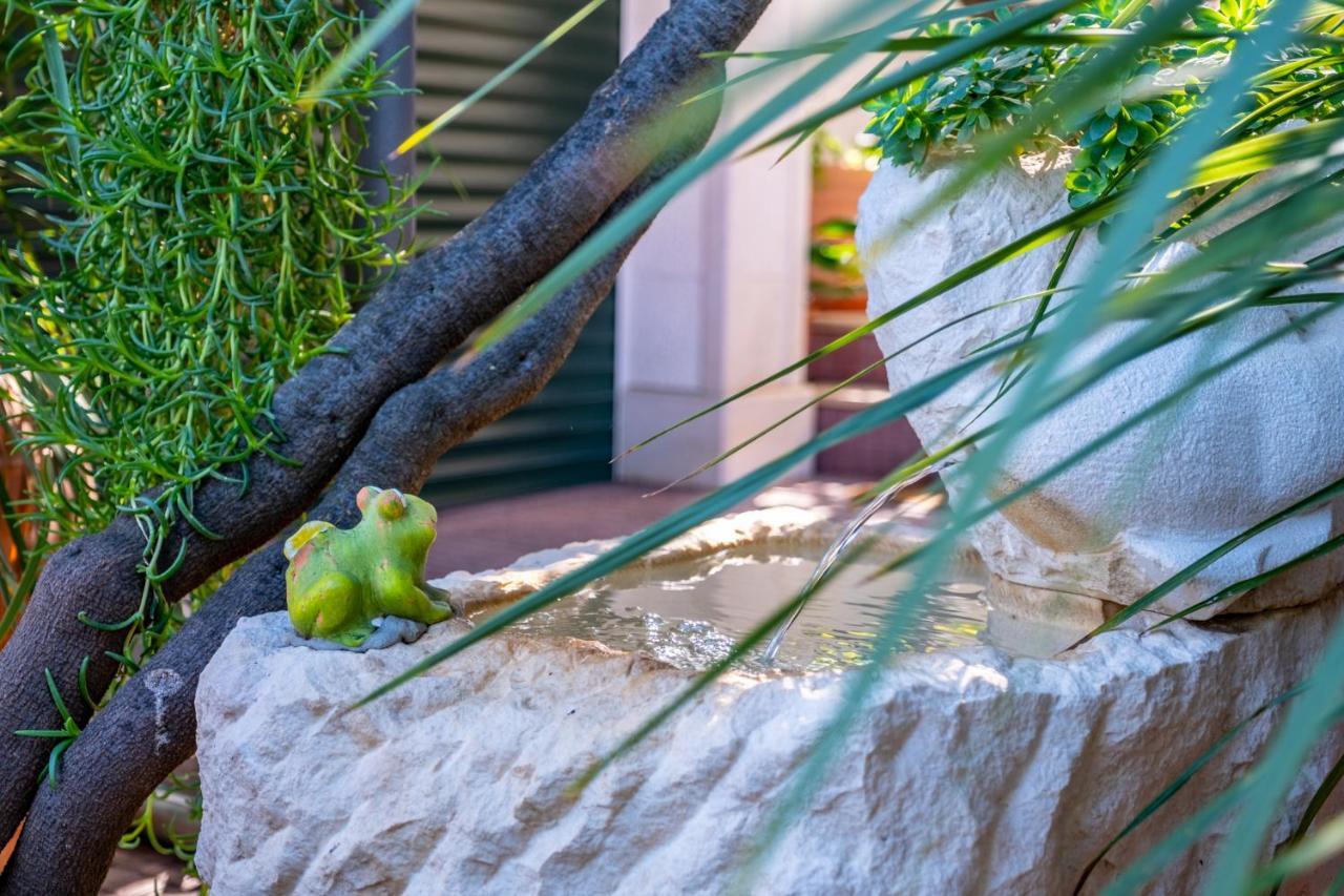 סופטאר Apartments Villa Camellia - Adults Only מראה חיצוני תמונה